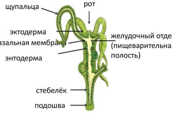 Что продают на кракене